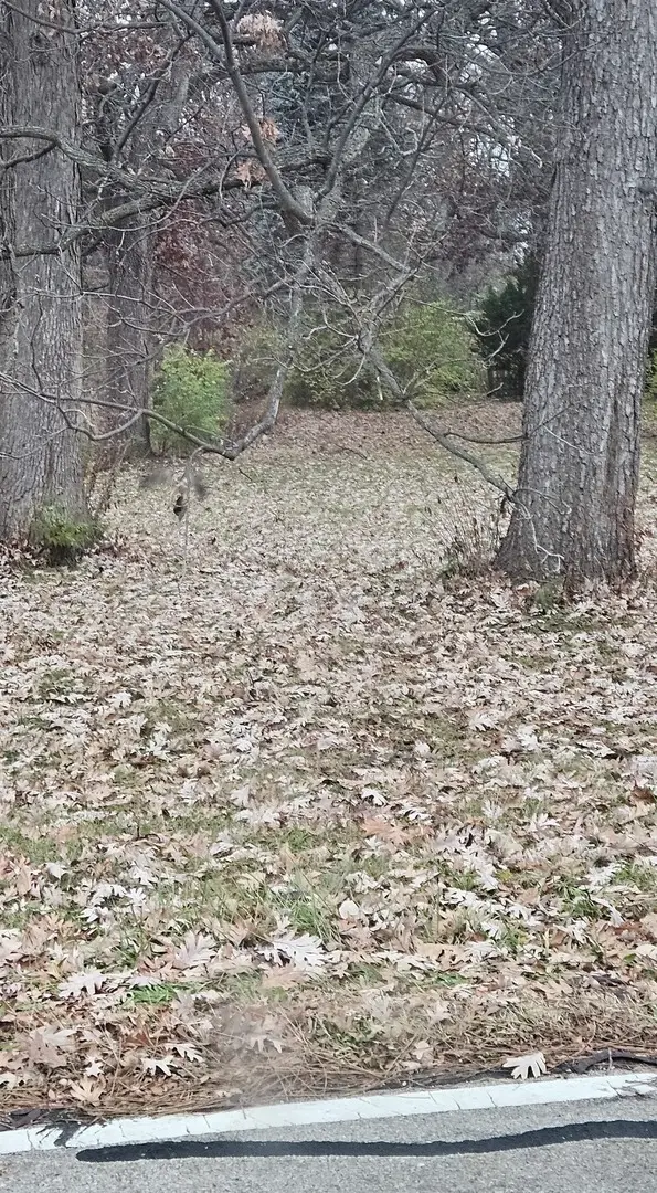 0N636 Sunset Avenue, West Chicago, IL 60185