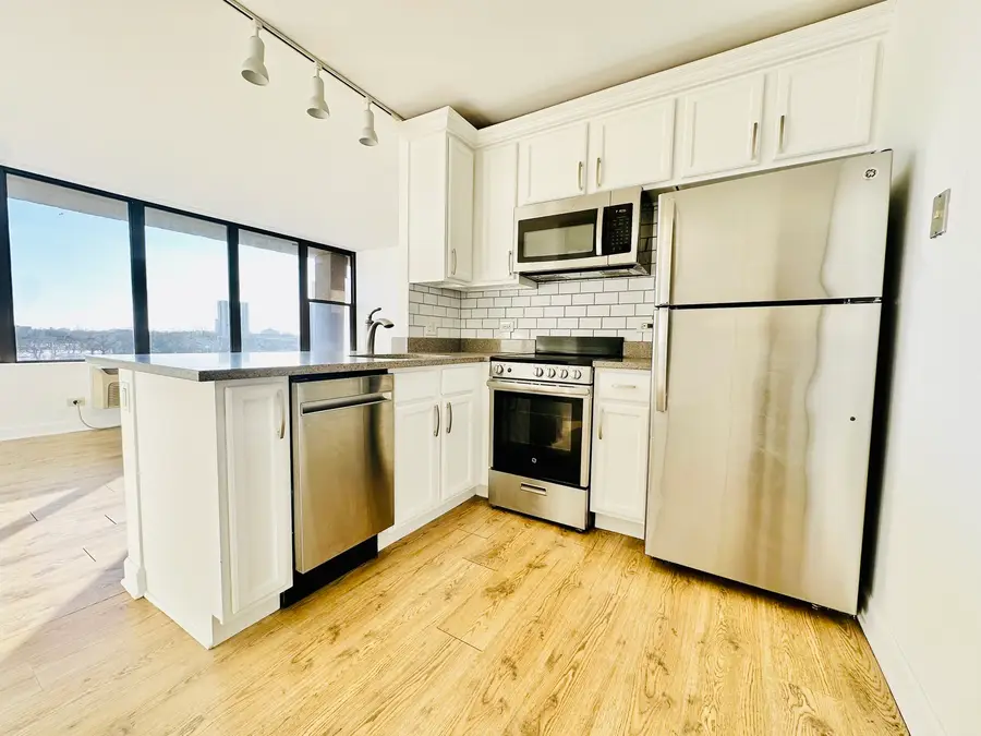 345 E Eastgate Place #604, Chicago, IL 60616 - Image #3