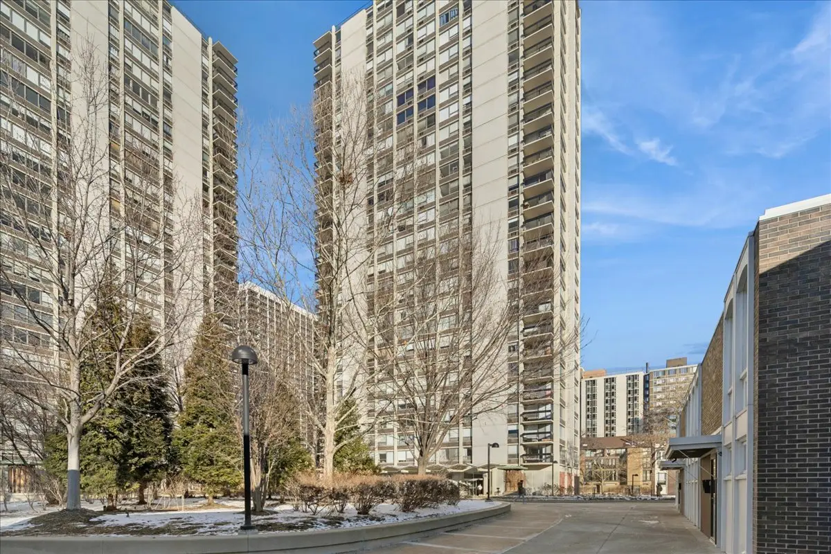 1355 N Sandburg Terrace #203D, Chicago, IL 60610 - Image #1