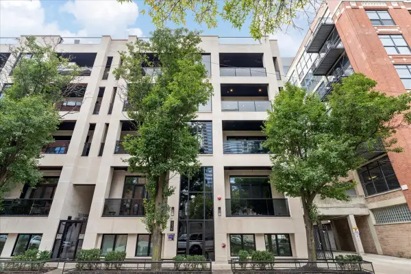 216 S Green Street #3N, Chicago, IL 60607