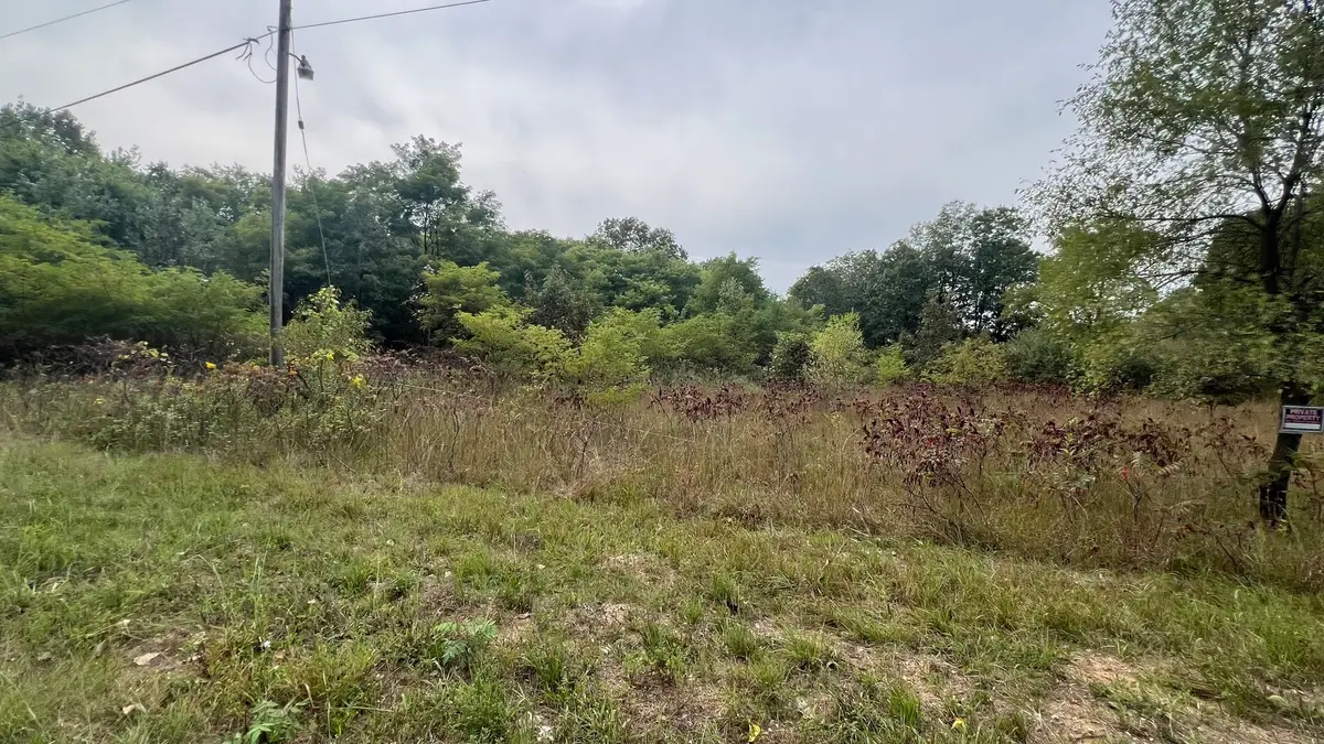 0007 Green Acres Road, Pembroke, IL 60958 - #1