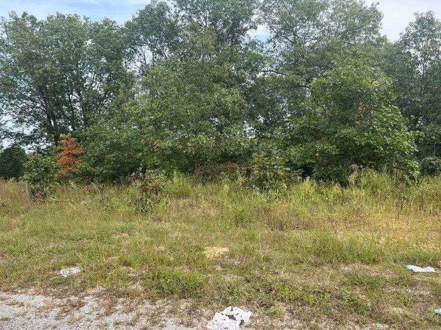 0001 Green Acres Street, Pembroke, IL 60958 - #3