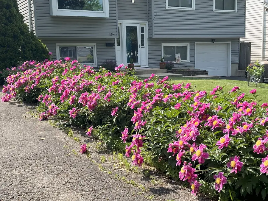 154 S Ellyn Avenue, Glen Ellyn, IL 60137 - #2