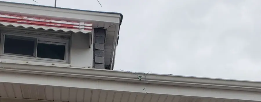 5709 S Mozart Street, Chicago, IL 60629 - #2