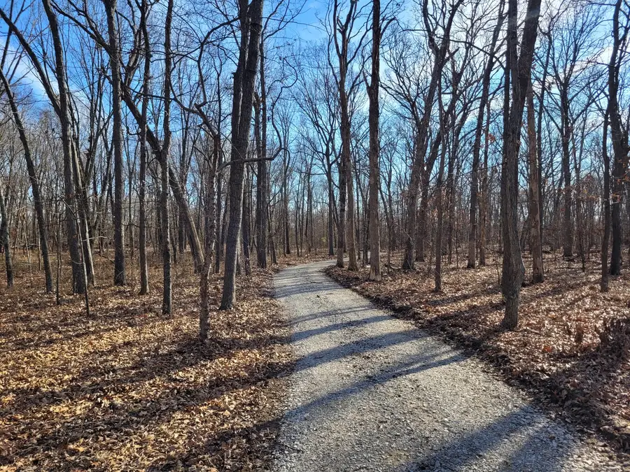 242 State Route 37 Highway, Kell, IL 62853 - Image #3