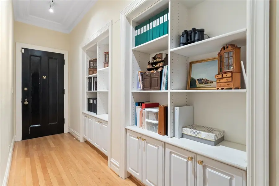 230 E Delaware Place #1E, Chicago, IL 60611 - Image #3