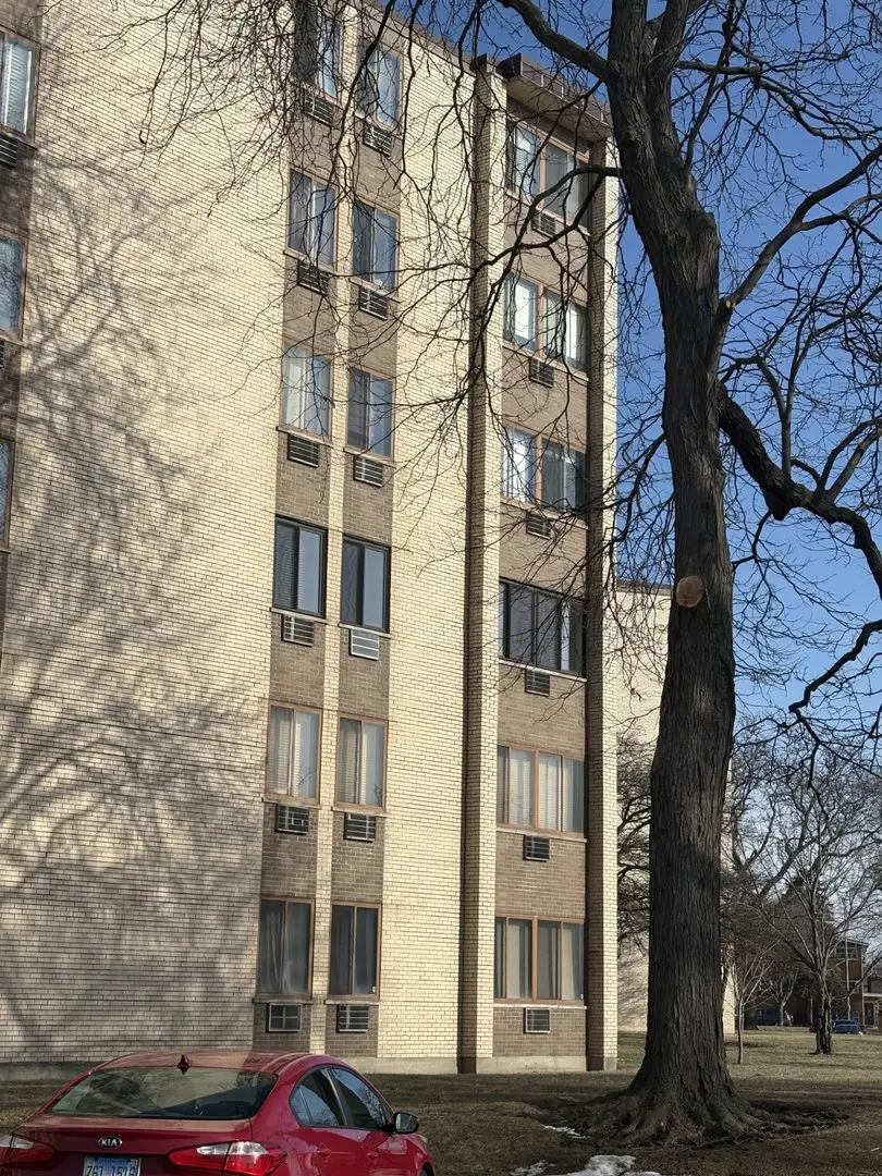 9725 S Karlov Avenue #305, Oak Lawn, IL 60453 - Image #2