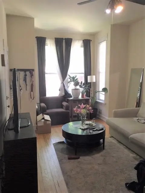 1749 W Barry Avenue, Chicago, IL 60657 - Image #2