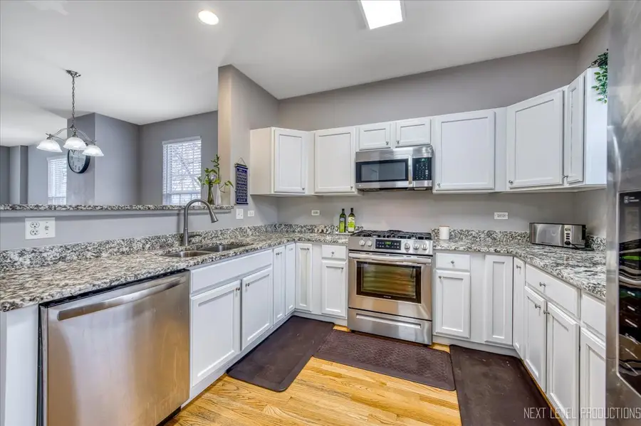 172 N East River Road #L, Des Plaines, IL 60016 - #2