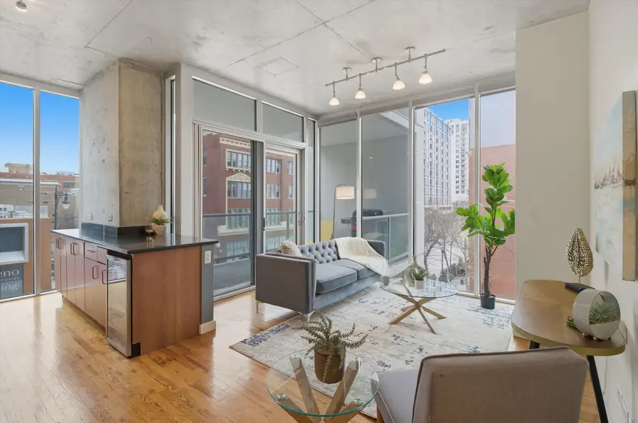 1720 S Michigan Avenue #308, Chicago, IL 60616 - Image #2