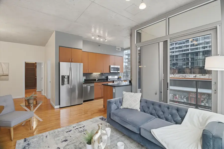 1720 S Michigan Avenue #308, Chicago, IL 60616 - Image #3