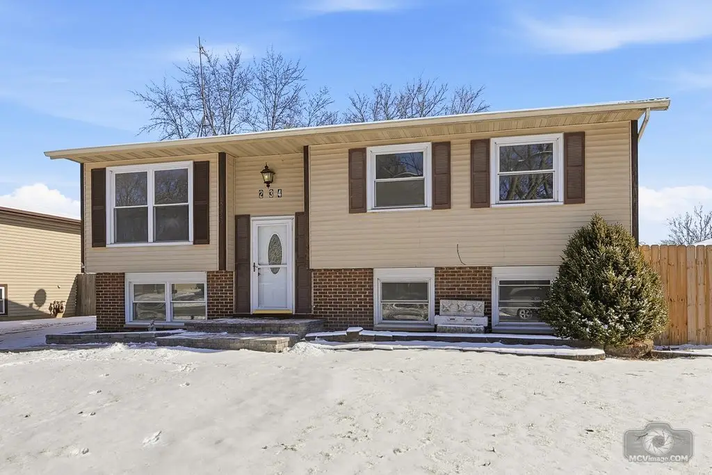234 Butternut Drive, Bolingbrook, IL 60440 - Image #1