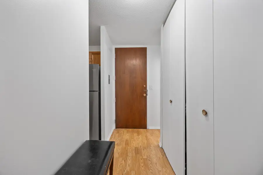5100 N Marine Drive #17L, Chicago, IL 60640 - Image #3