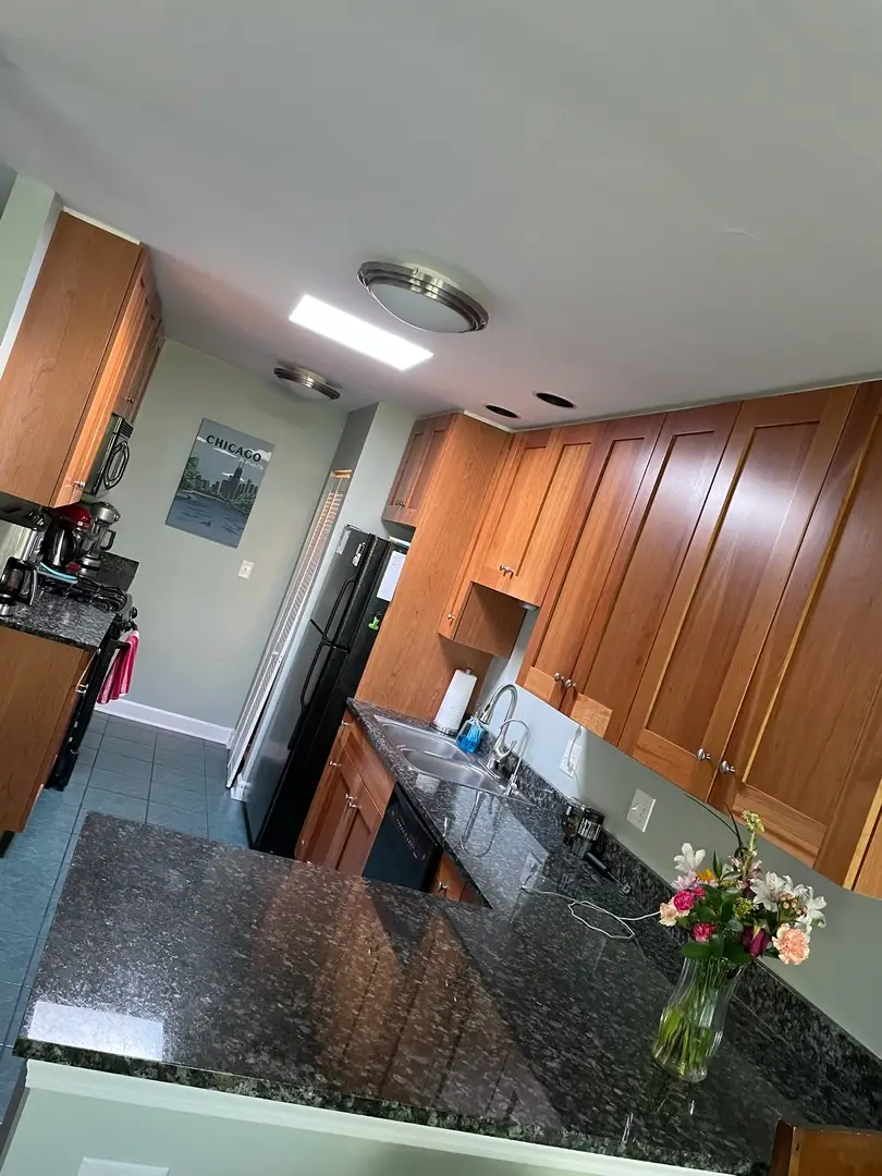 1414 Elmwood Avenue #3F, Evanston, IL 60201 - #3