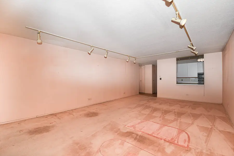 3150 N Sheridan Road #9A, Chicago, IL 60657 - Image #2