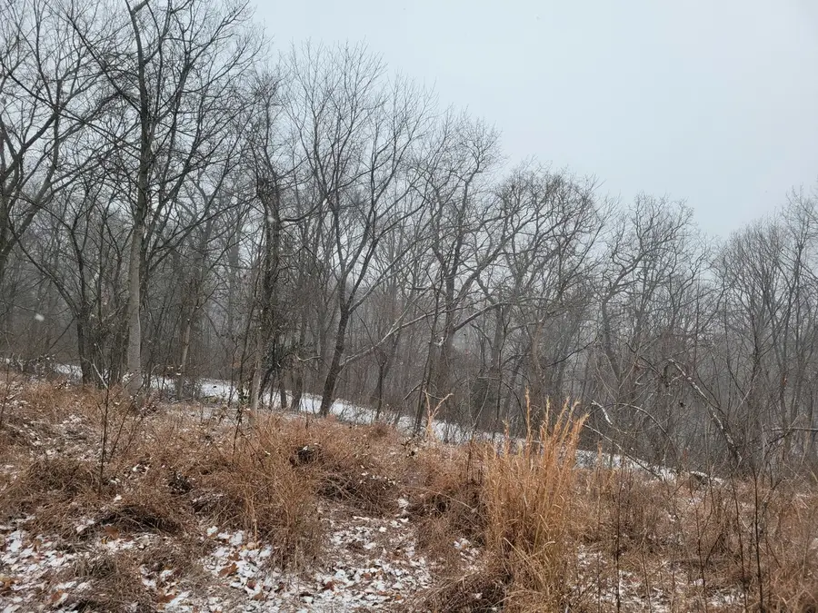 350 Baker Street, Anna, IL 62906 - #3