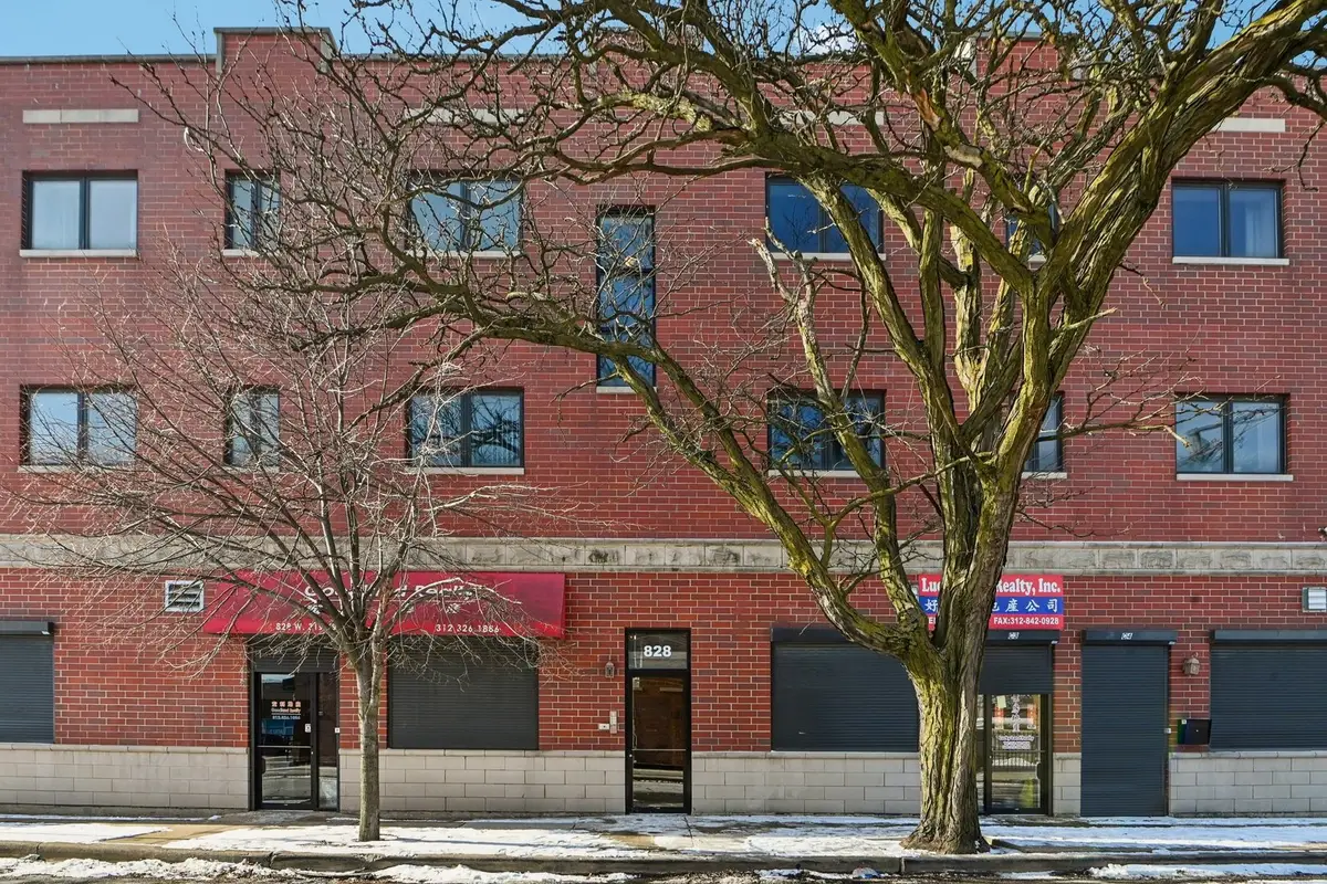 828 W 31st Street #3N, Chicago, IL 60608 - #1