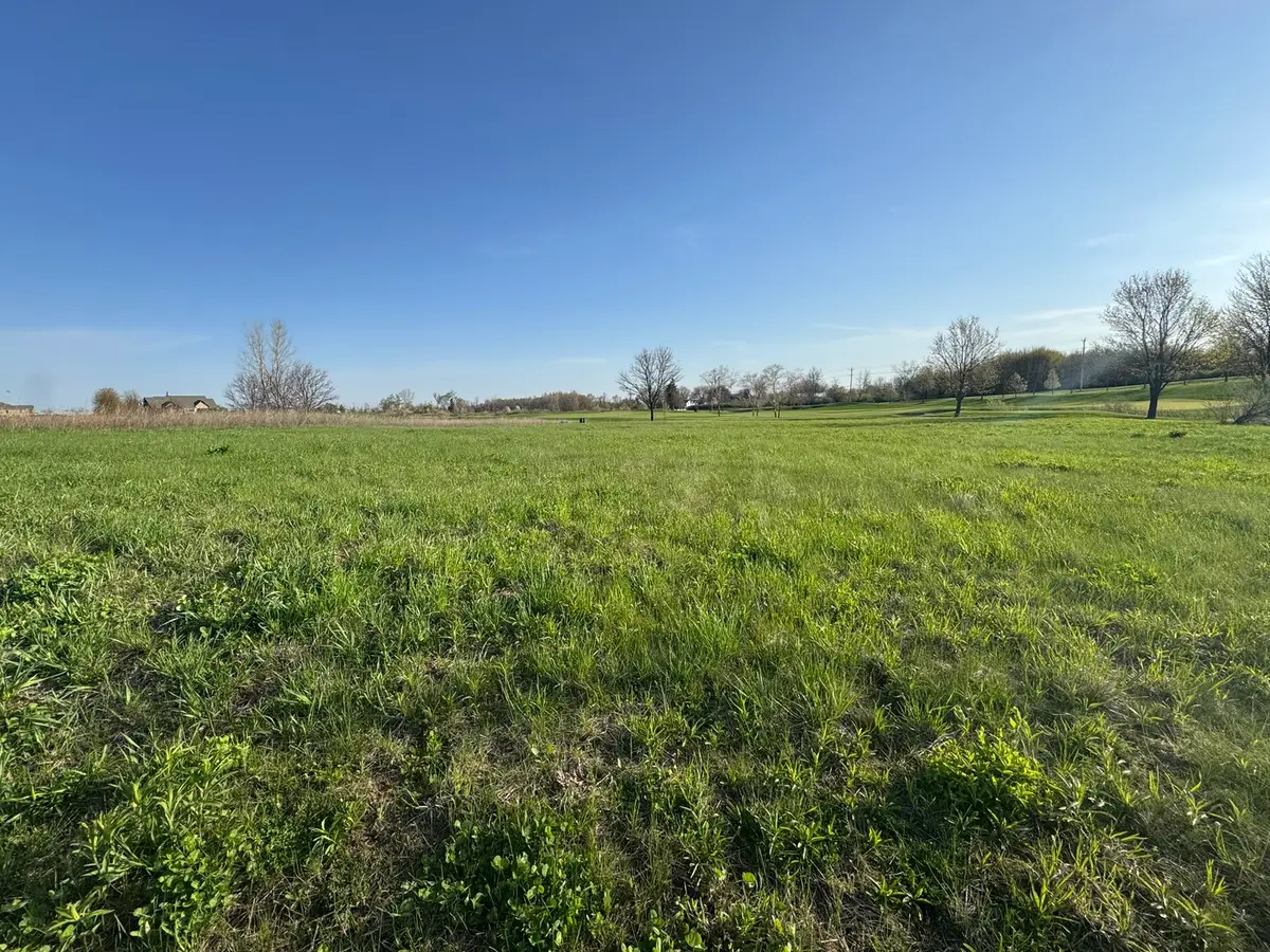 10006 Saint Andrews Drive, Marengo, IL 60152 - #1