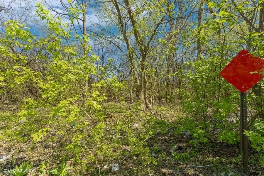 1630 Myrtle Park Street, Roselle, IL 60172 - #2