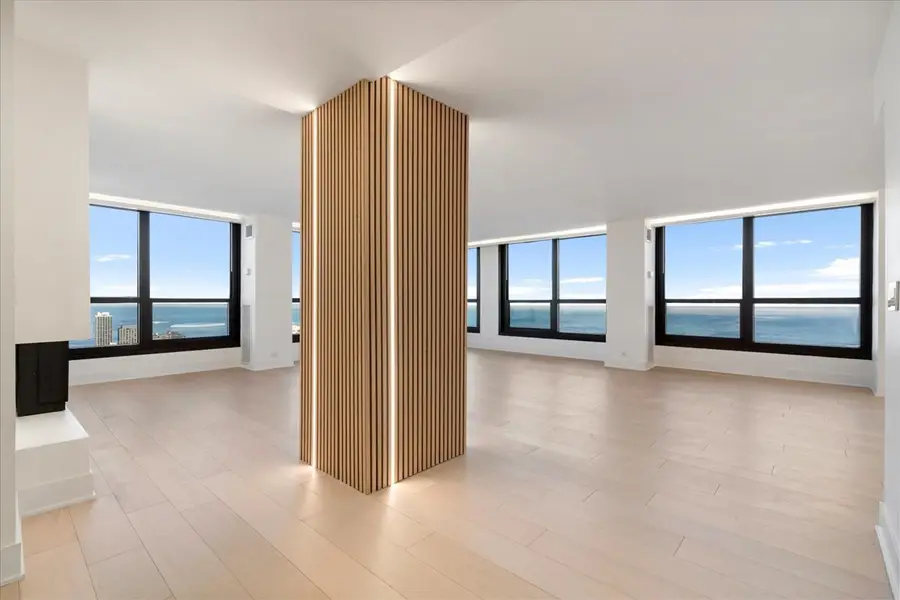 1030 N State Street #52EFG, Chicago, IL 60610 - Image #3