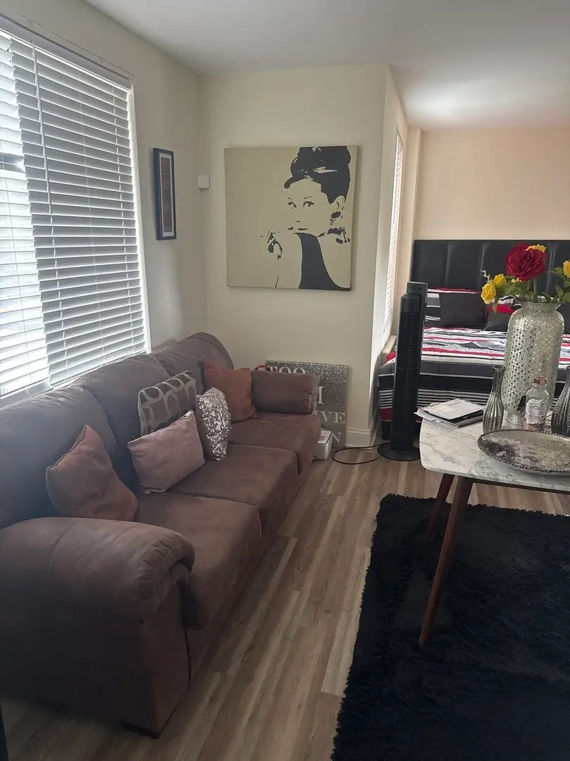 7363 S South Shore Drive #209, Chicago, IL 60649 - Image #3