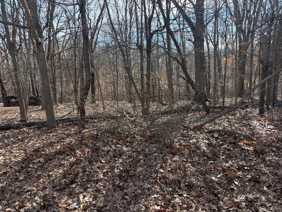 374 Bonnie Court, Varna, IL 61375 - #2