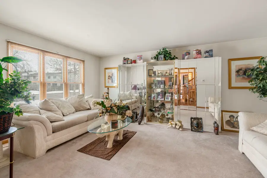 156 Winston Drive, Bolingbrook, IL 60440 - Image #3