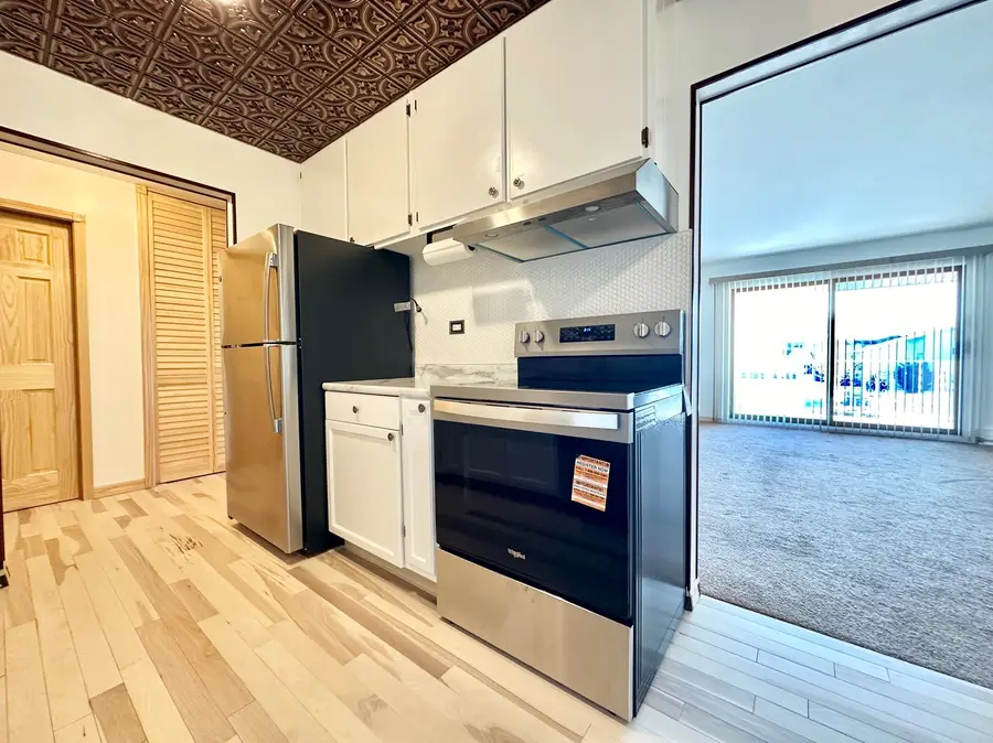 880 Old Willow Road #282, Prospect Heights, IL 60070 - Image #3