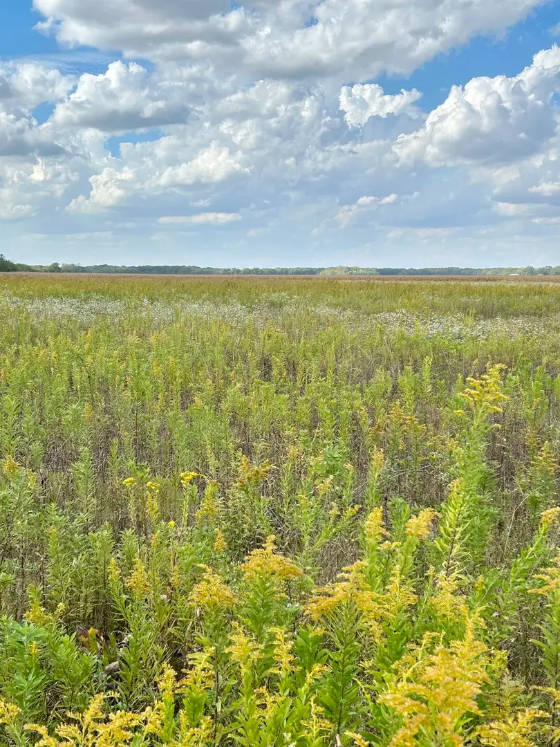 1065 N Gorman Road, Morris, IL 60450 - #3