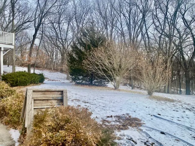 111 Oak Street, Dalzell, IL 61320 - #3