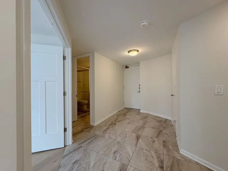 505 N Lake Shore Drive #1101, Chicago, IL 60611 - Image #2