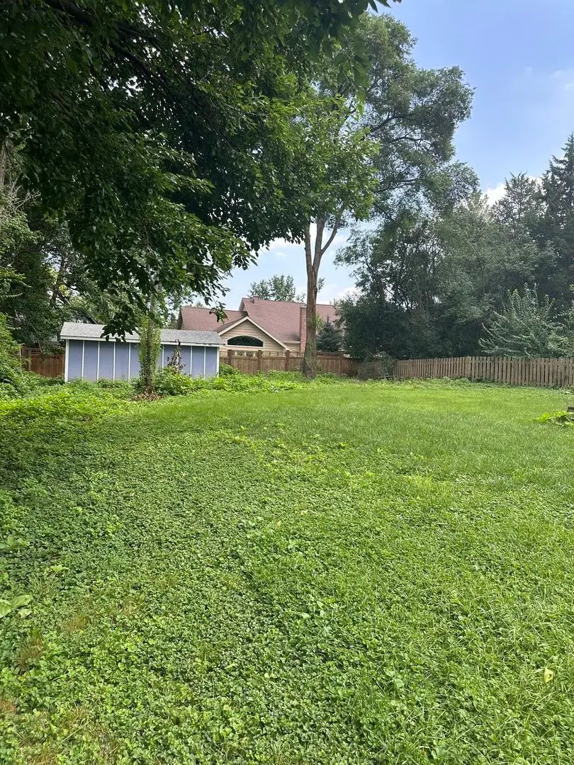 6229 Springside Avenue, Downers Grove, IL 60516 - #3