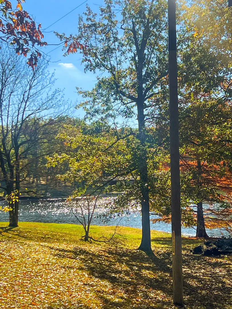 381 County Road 100 E Lot 14, Norris City, IL 62869 - #3