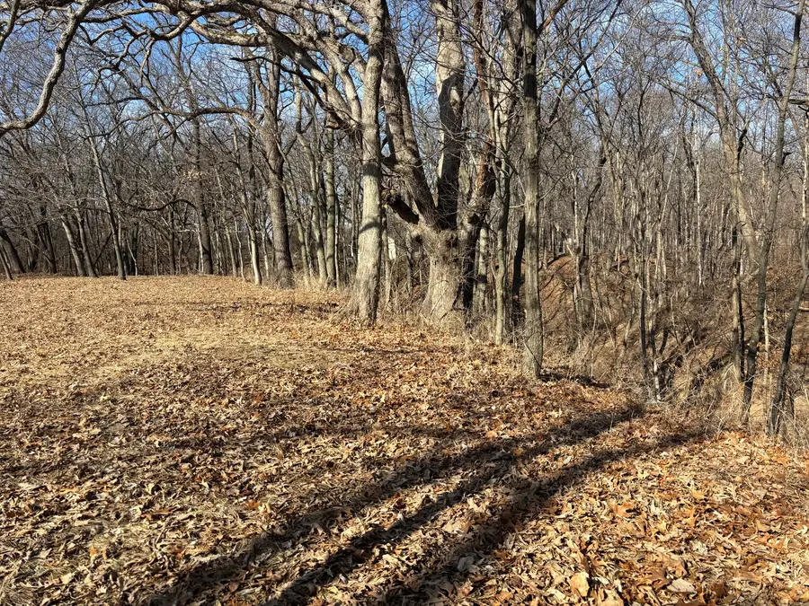 595 Cardinal Drive, Varna, IL 61375 - #3