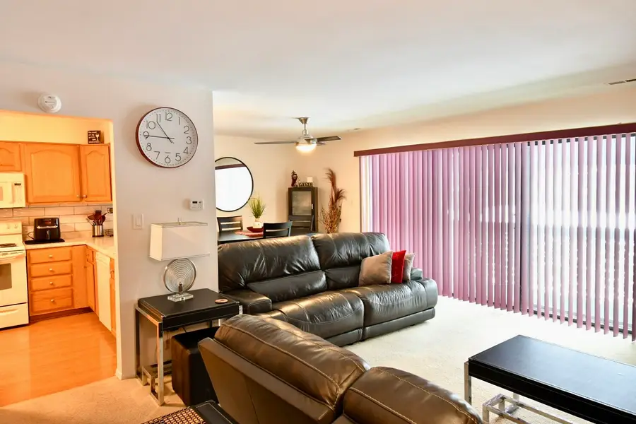 18424 Kedzie Avenue #2A, Homewood, IL 60430 - #3