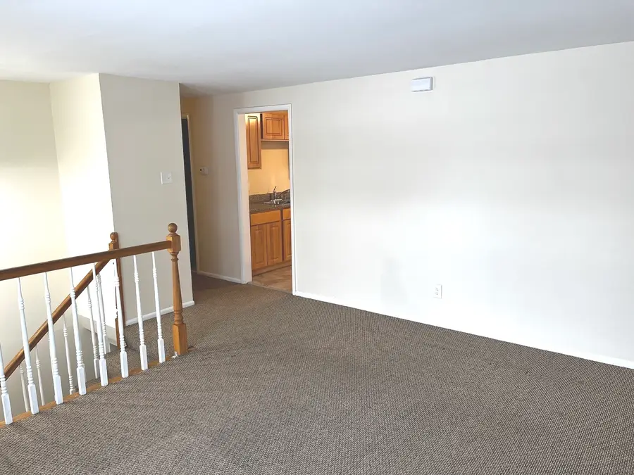 335 E Mulberry Drive, Glenwood, IL 60425 - Image #2