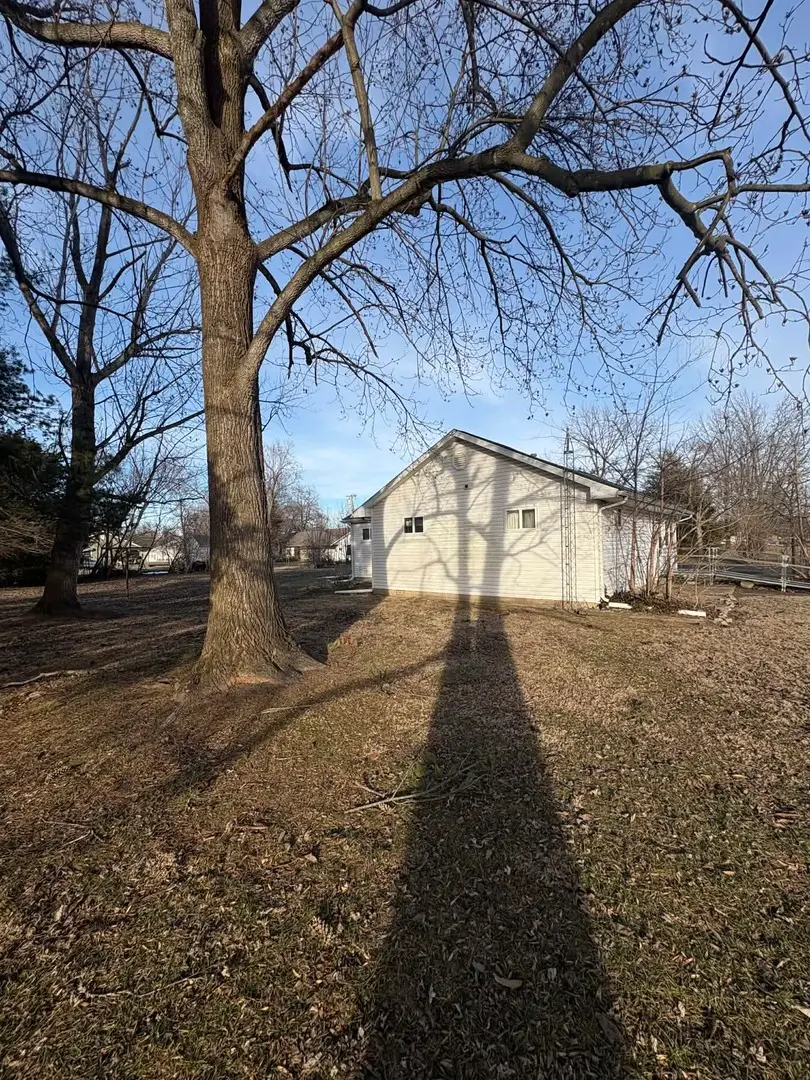 105 E Benedict Street, Valier, IL 62891 - #3