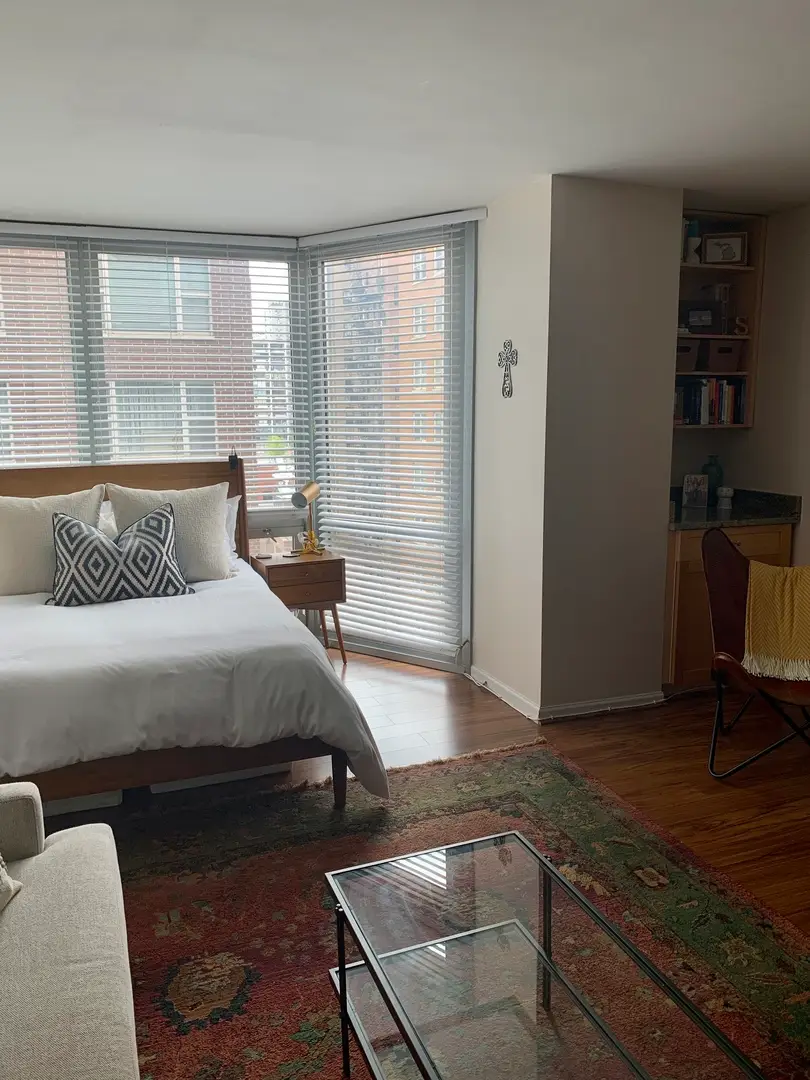 21 W Goethe Street #11E, Chicago, IL 60610 - Image #3