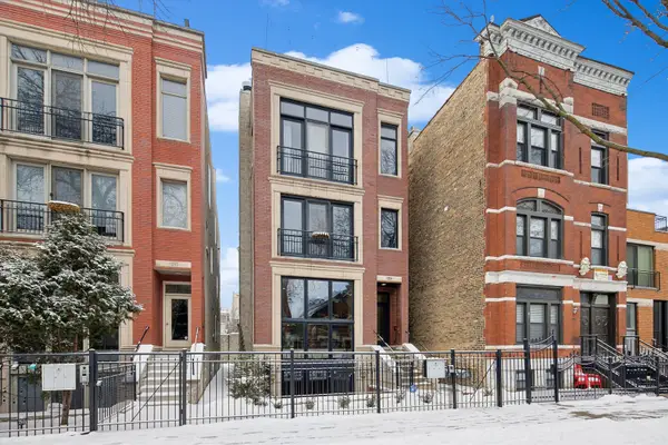 1054 N Hermitage Avenue #2, Chicago, IL 60622