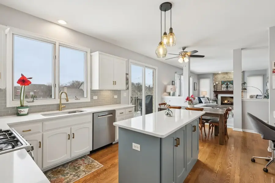 1268 Durham Lane, Lemont, IL 60439 - #3