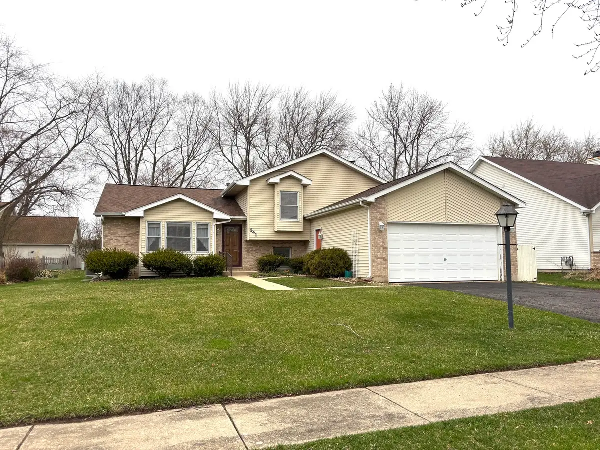 541 Blue Bonnet Lane, Woodstock, IL 60098 - #1