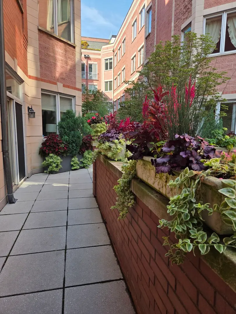 1430 N Lasalle Drive #A1, Chicago, IL 60610 - #2