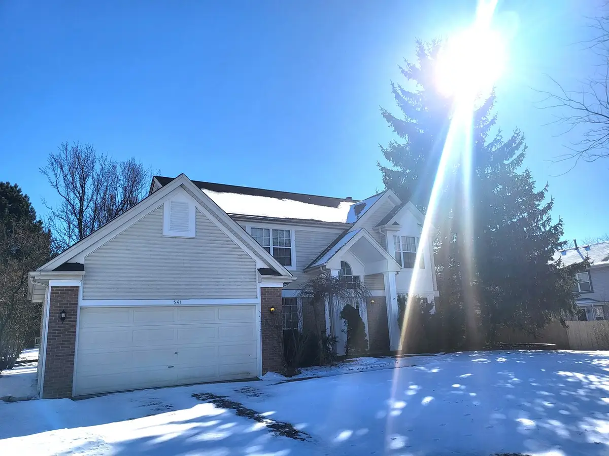 541 Meadowview Drive, Wauconda, IL 60084 - #1