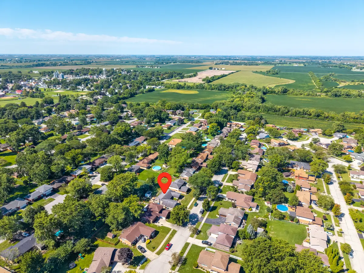 520 Chestnut Lane, Beecher, IL 60401 - #1