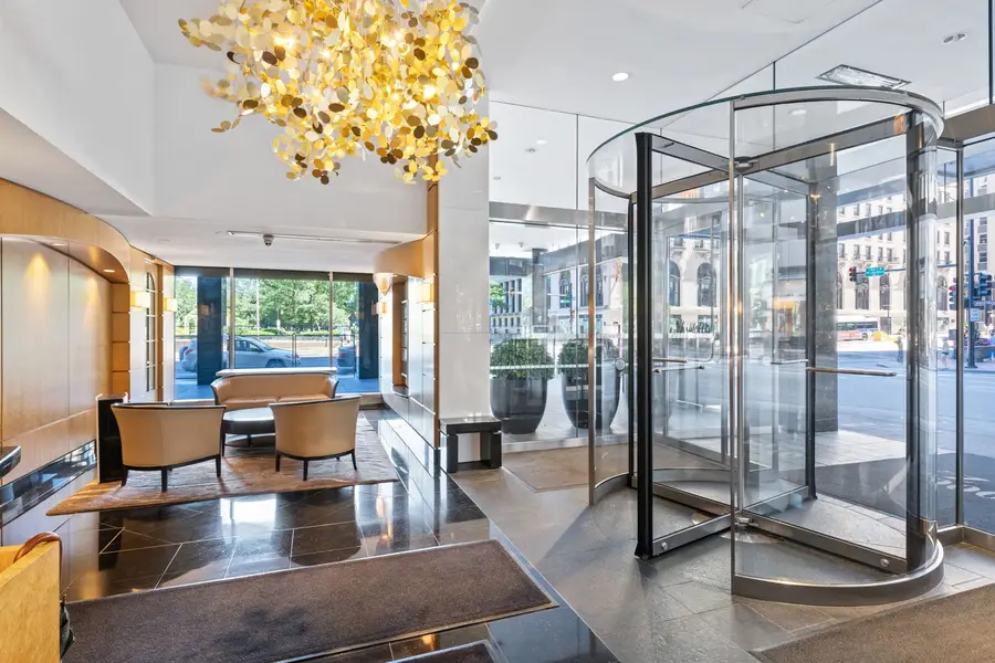 1000 N Lake Shore Plaza #39C, Chicago, IL 60611 - #3