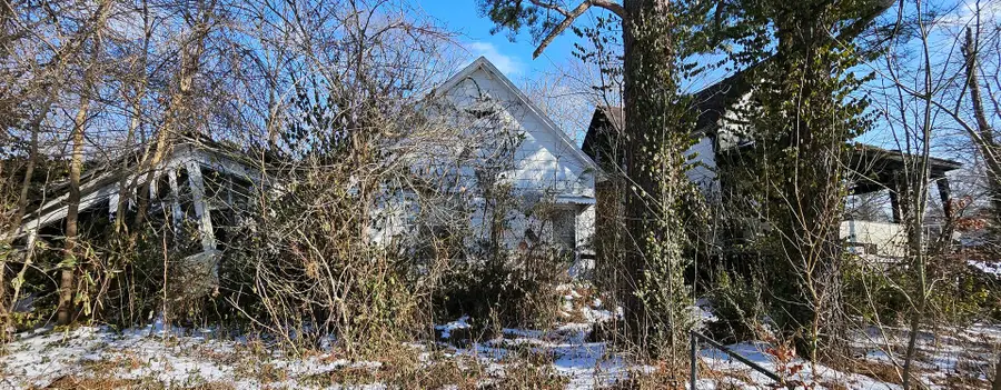 216 N Delaware Street, Mounds, IL 62964 - #2