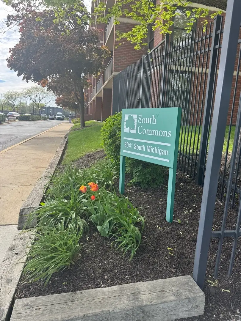 3041 S Michigan Avenue #106, Chicago, IL 60616 - #2