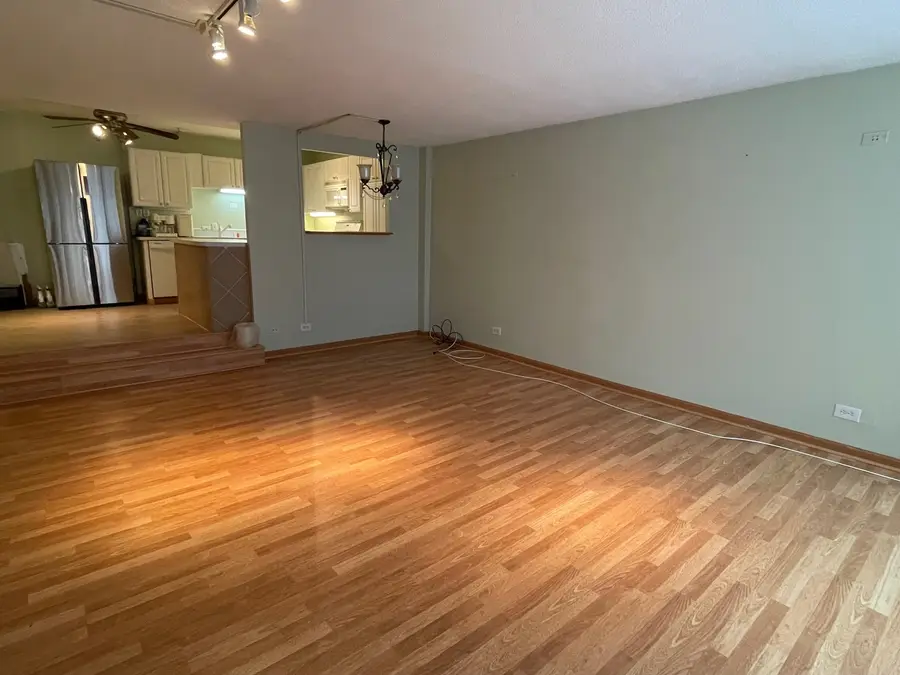 230 E Ontario Street #402, Chicago, IL 60611 - Image #3