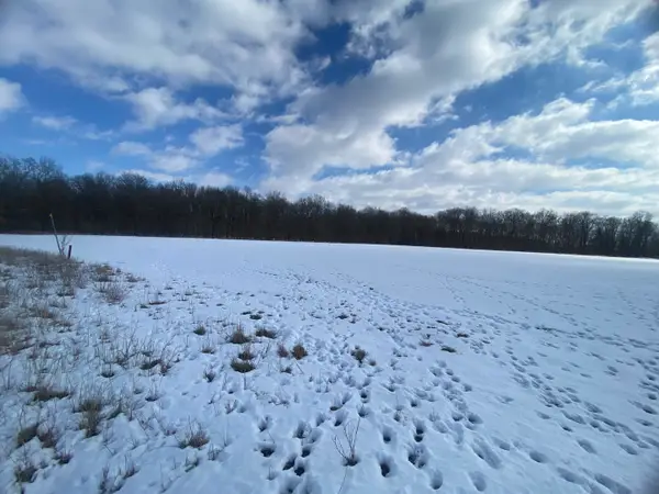 000 Highway 14 East Highway, Benton, IL 62812