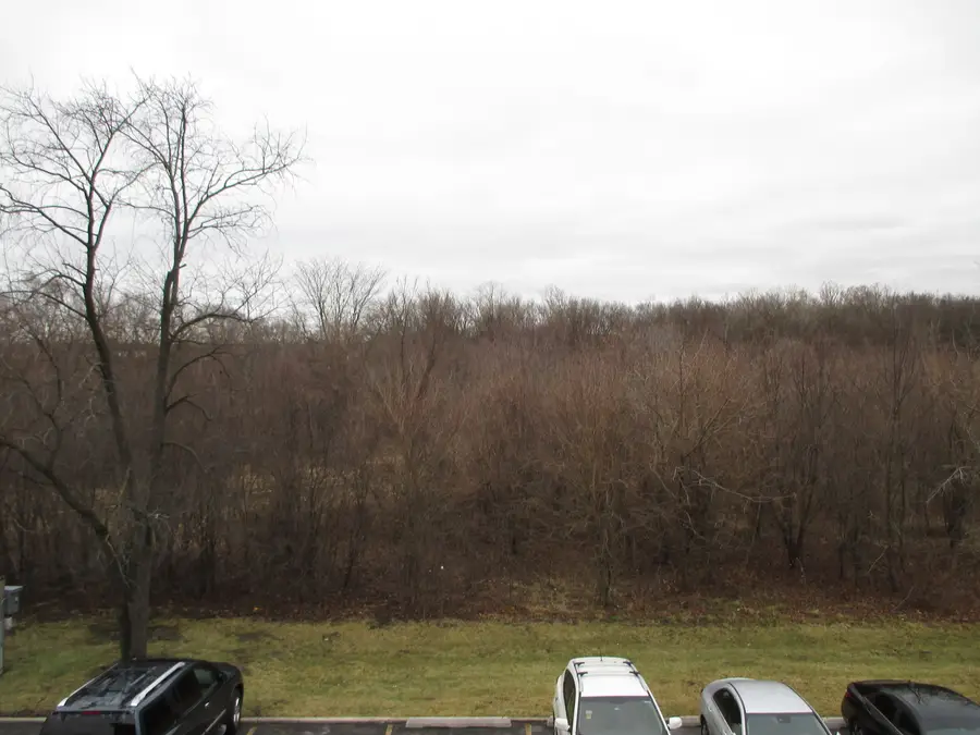 4010 150th Street #10, Midlothian, IL 60445 - #3